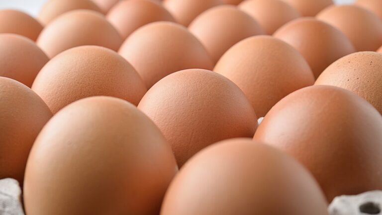 organic-eggs-recall-as-lv-241224-3_1735068729469_hpMain_16x9.jpg