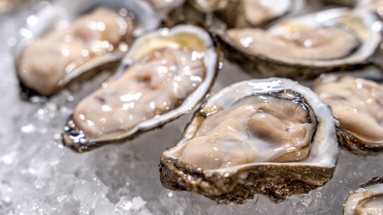 raw-oysters-as-lv-241219_1734650802811_hpMain_16x9.jpg