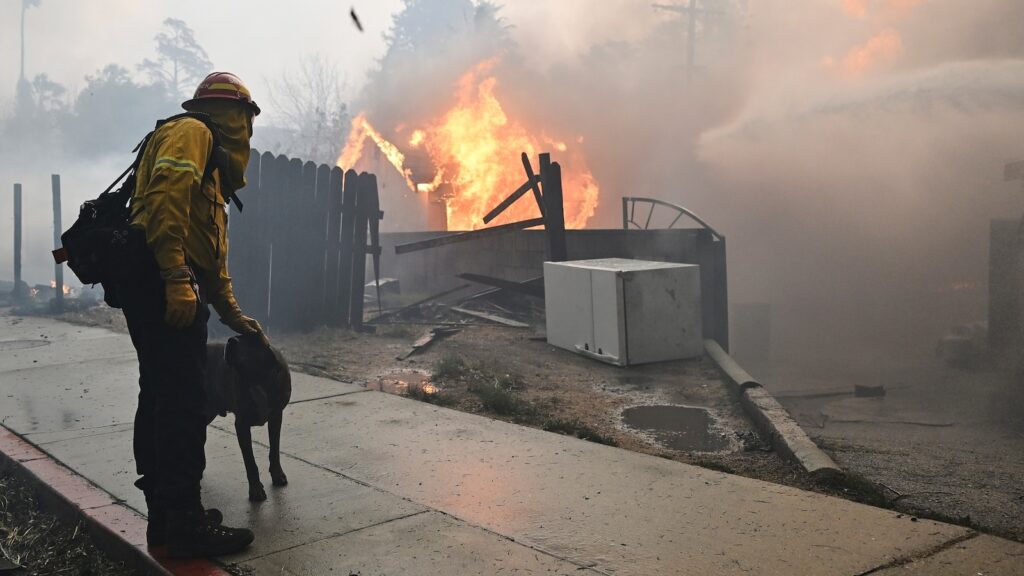 firefighter-dog-mo_1736781180328_hpMain_16x9.jpg