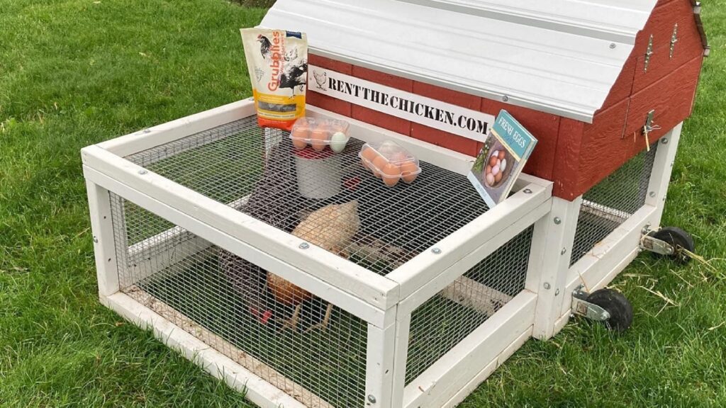 chicken-2-ht-er-250215_1739481716005_hpMain_16x9.jpg