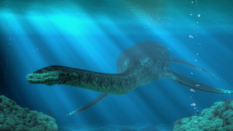 plesiosaur-1-gty-er-250218_1739899273300_hpMain_16x9.jpg