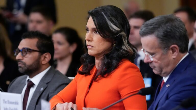 signal-testimony-house-ap-bh-250326_1743026401976_hpMain_16x9.jpg
