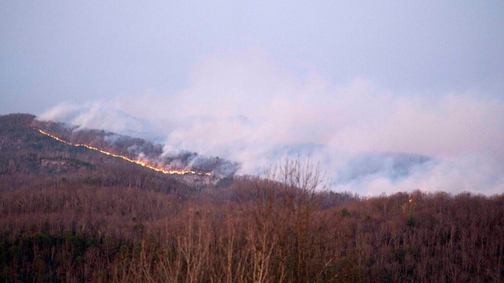 south-carolina-wildfire-02-ap-jef-250328_1743171084827_hpMain_16x9.jpg