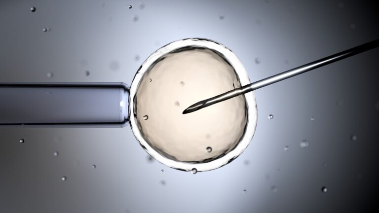 ivf-stock-gty-jef-250218_1739906549683_hpMain_2_16x9.jpg