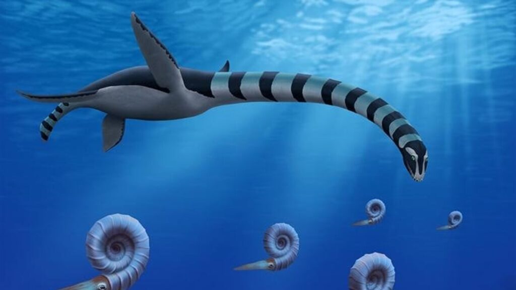 Traskasaura-sandrae-1-ht-er-250529_1748548921097_hpMain_16x9.jpg