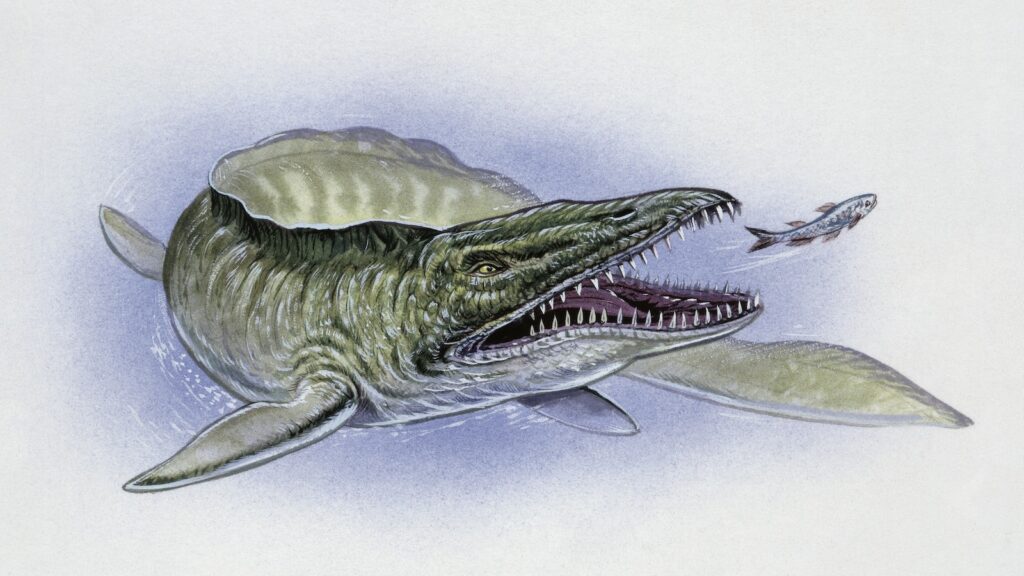 mosasaur-gty-er-250519_1747676681046_hpMain_16x9.jpg