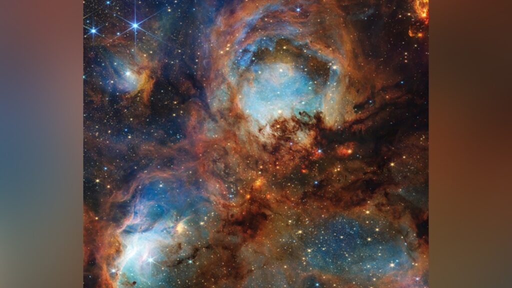 cats-nebula-main-ht-jt-250711_1752258793870_hpMain_16x9.jpg