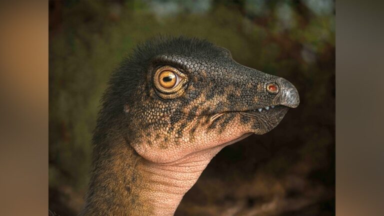 dino-main-ht-jt-250711_1752249976390_hpMain_16x9.jpg