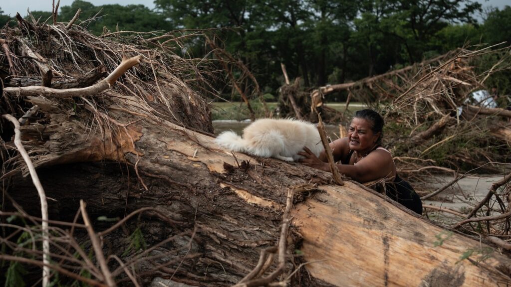 dog-texas-flood-mo_1752171059442_hpMain_16x9.jpg