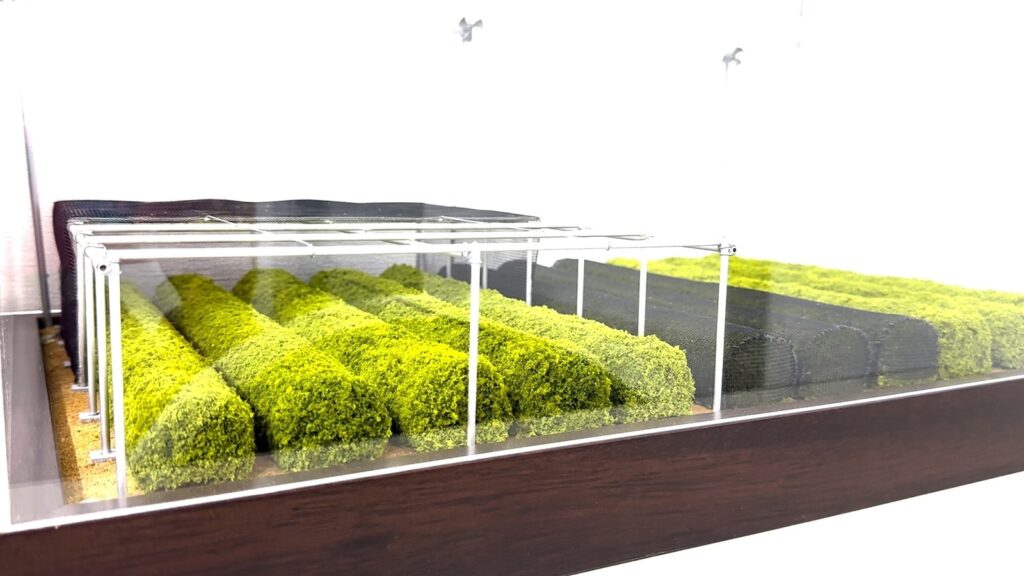matcha-08-abc-jef-250730_1753889493066_hpMain_16x9.jpg