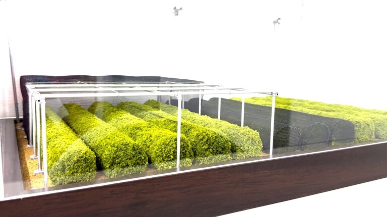 matcha-08-abc-jef-250730_1753889493066_hpMain_16x9.jpg