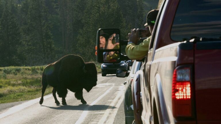yellowstone-1-rt-er-250717_1752786240464_hpMain_16x9.jpg