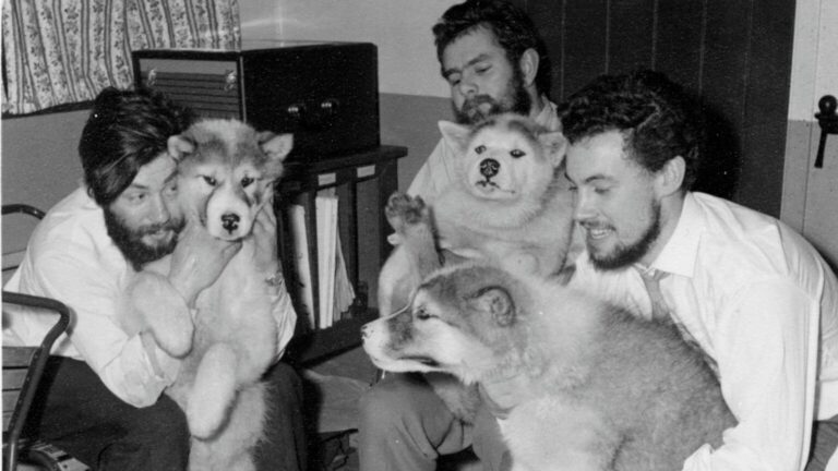 Dennis_Bell_on_left_with_dogs-1536x1339_1755073551320_hpMain_16x9.jpg