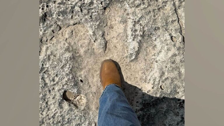 dino-tracks-main-ht-jt-250808_1754680177892_hpMain_16x9.jpg
