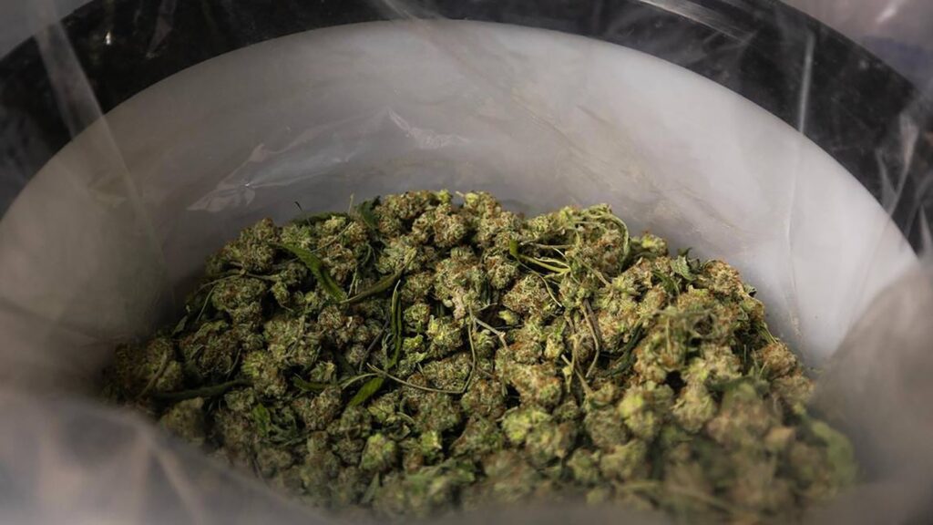 marijuana-gty-er-250811_1754934083381_hpMain_16x9.jpg