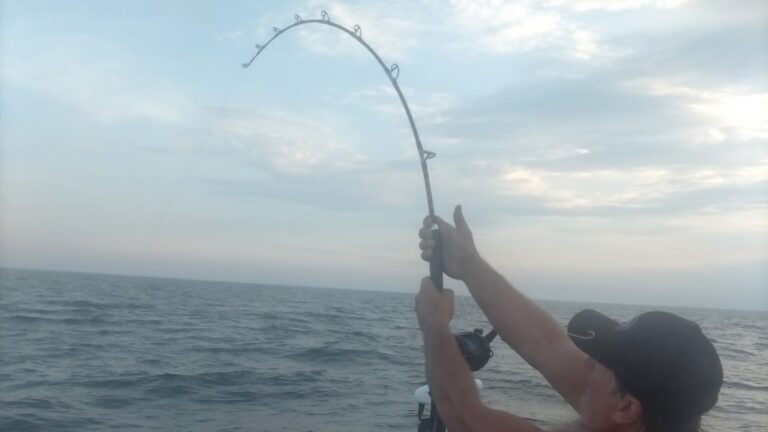shark-fishing-ht-jt-250807_1754603515296_hpMain_16x9.jpg