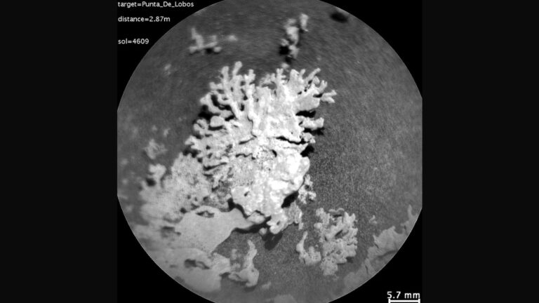 space-coral-main-ht-jt-250808_1754664752851_hpMain_16x9.jpg