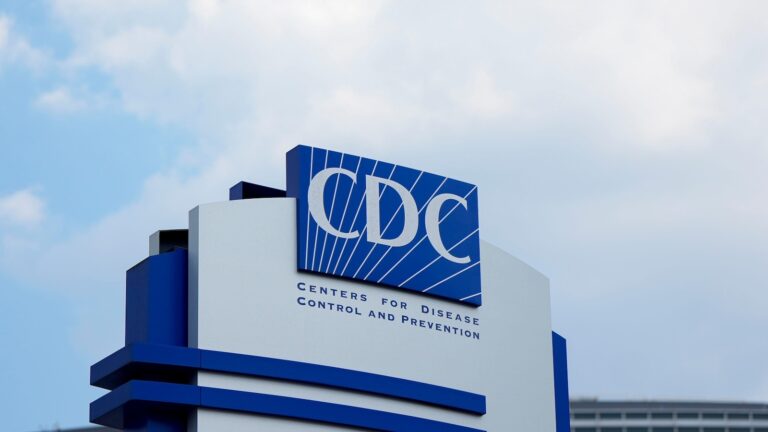 wirestory_cfbdcab84b2a919a6131d471959c3431_16x9.jpg