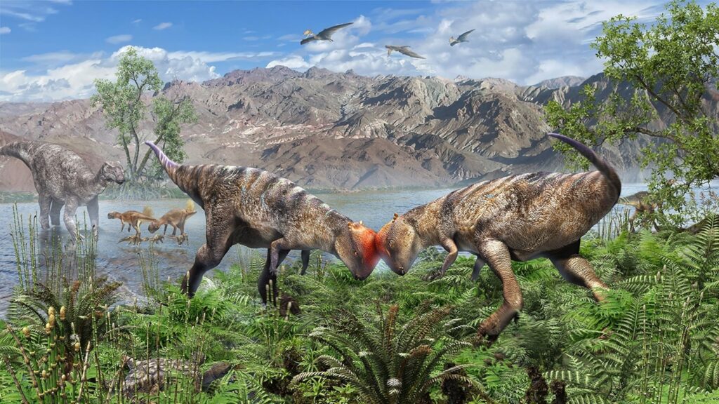 Pachycephalosaur-ht-er-250916_1758047367020_hpMain_16x9.jpg