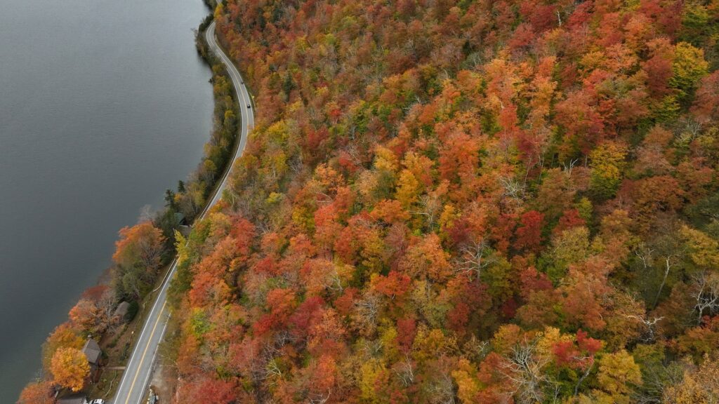 fall-1-gty-er-250915_1757968977810_hpMain_16x9.jpg