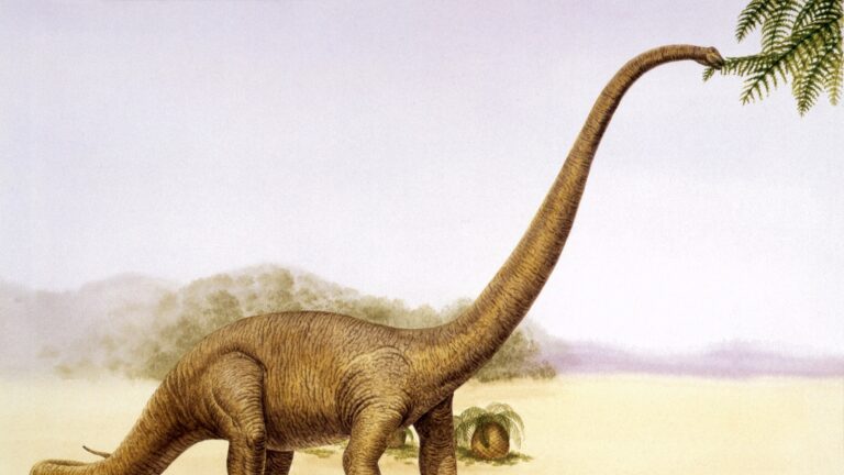 mamenchisaurus-01-gty-jt-250902_1756825260425_hpMain_16x9.jpg