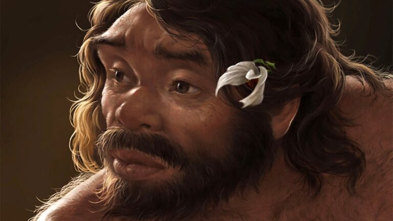 neanderthal-skull-rt-jt-250926_1758904035773_hpMain_16x9.jpg