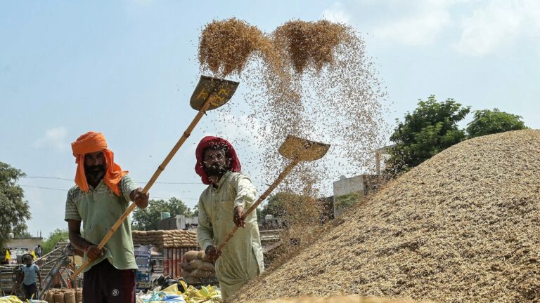 rice-01-gty-jef-250923_1758629040218_hpMain_16x9.jpg